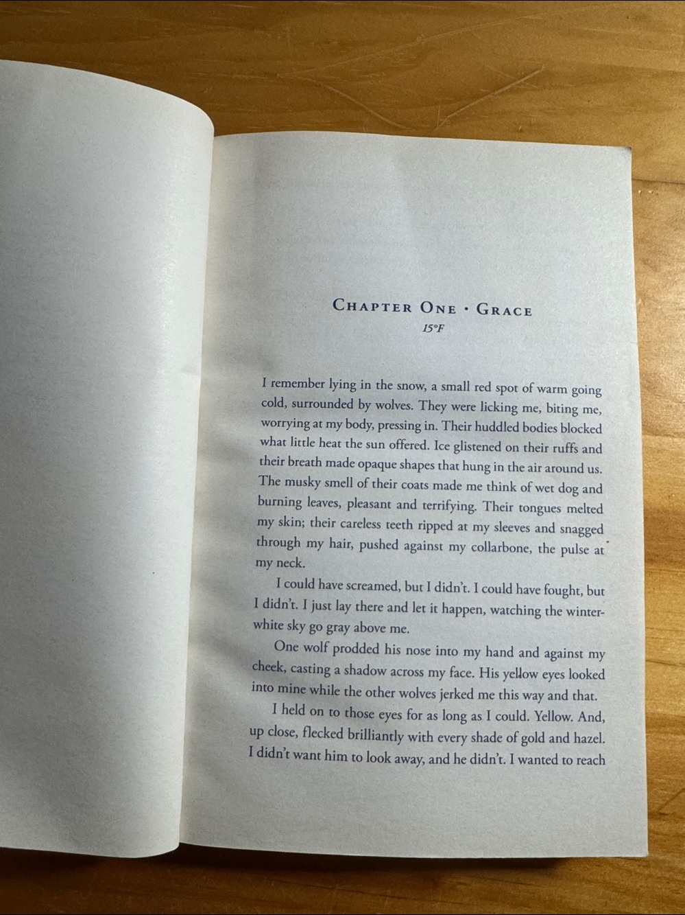 📚2/$6 Shiver #1 in The Wolves of Mercy Falls Series - Picture 8 of 12